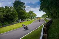 anglesey;brands-hatch;cadwell-park;croft;donington-park;enduro-digital-images;event-digital-images;eventdigitalimages;mallory;no-limits;oulton-park;peter-wileman-photography;racing-digital-images;silverstone;snetterton;trackday-digital-images;trackday-photos;vmcc-banbury-run;welsh-2-day-enduro